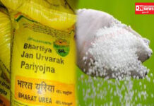 ખેરગામમાં દુકાનમાં ખાતરનું વિતરણ શરૂ થતાં ખેડૂતો યુરિયા ખાતર મેળવવા માટે દુકાને પડાપડી…