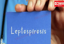 ચીખલીના કણભઇ ગામે યુવાનનું શંકાસ્પદ લેપ્ટોસ્પાયરોસીસ રોગને કારણે ખાનગી હોસ્પિટલમાં સારવાર દરમિયાન મોત..