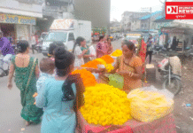 નવસારીમાં ગલગોટાના ભાવમાં એક જ દિવસે કિલોમાં રૂ. 40થી 50નો ભાવમાં વધારો..