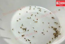 વાંસદાના રૂપવેલ ગામે ઘાસ કાપતી વૃદ્ધ મહિલા પર મધમાખીના ઝુંડનો હુમલો, 200 ડંખ કઢાયા..