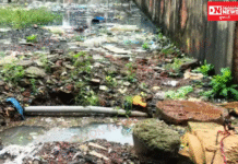 વાપી નવીનગરી વર્ધમાન કોમ્પ્લેક્સમાં છેલ્લા ચાર મહિનાથી ડ્રેનેજ ઊભરાતા સ્થાનિકોમાં રોષ..