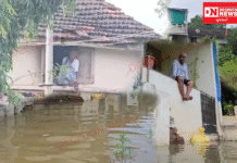 નવસારી જિલ્લાની અંબિકા નદીની જળસપાટીમાં વધારો થતા 125 ઘરોમાં પાણી ભરાયા..