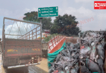 ઝઘડિયાના મુલદ નજીક NH પર 29 પાડા ભરેલ ટેમ્પો ઝડપાયો..12.90 લાખનો મુદ્દામાલ કબ્જે, કાયદેસર કાર્યવાહી હાથ ધરી..