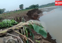 નર્મદા જિલ્લાના હજરપુરા-ભચરવાડા ગામની 1200 એકર જમીન ધોવાઈ.. ખેડૂતો: રાત્રે ઊંઘ પણ નથી આવતી..