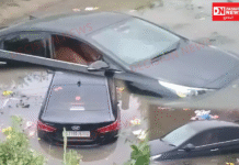 સુરતના કરાડા ગામે કૂતરાને બચાવવા જતાં કાર નહેરમાં ખાબકી..સદભાગ્યે કોઈને જાનહાની ન થઈ..