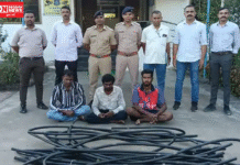 ગણદેવી પોલીસે રિલાયન્સ મોબાઈલ ટાવરમાંથી કોપર વાયર ચોરીના ગુનાનો ભેદ ઉકેલ્યો..