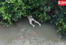 ઝઘડિયા તાલુકાના જરસાડ નજીક માધુમાતી ખાડીમાંથી ડી કમ્પોઝ હાલતમાં વૃધ્ધનો મૃતદેહ મળ્યો..