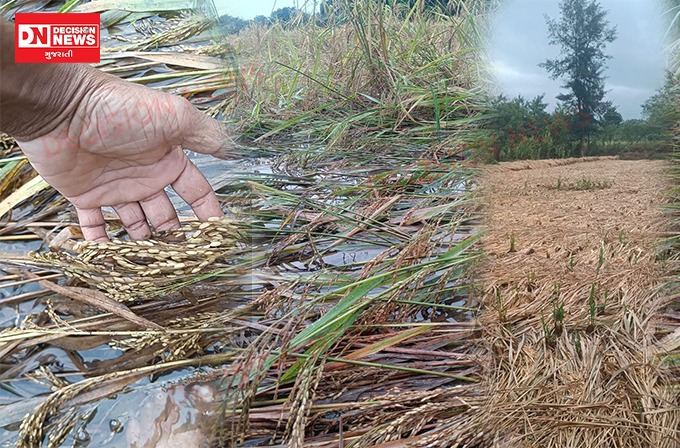 WhatsApp Image 2025-10-27 at 11.47.34 AM