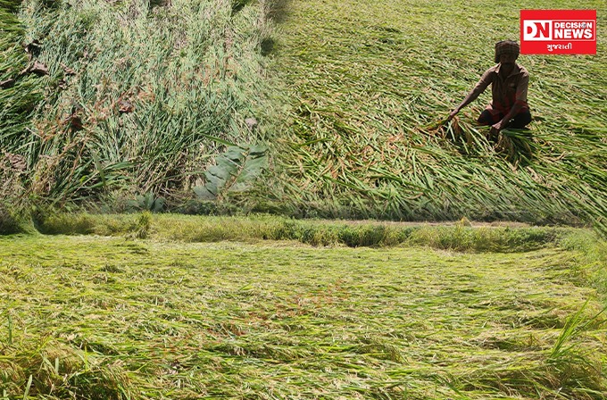 WhatsApp Image 2025-10-28 at 1.49.36 PM