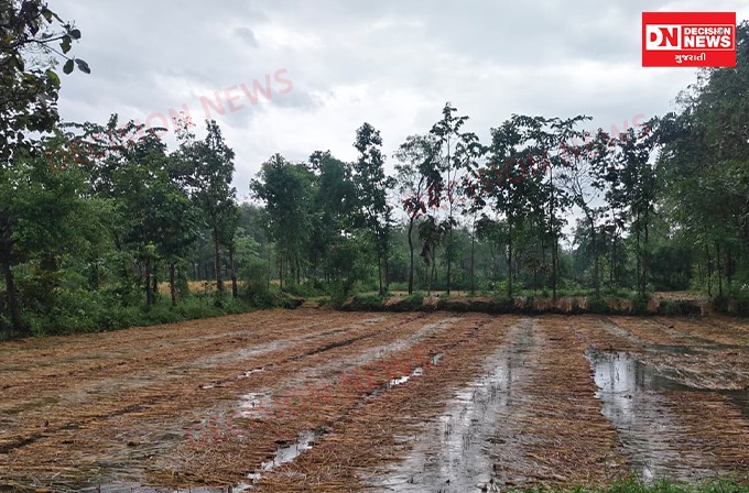 WhatsApp Image 2025-10-28 at 4.06.54 PM