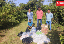 ભરૂચ લોકલ ક્રાઇમ બ્રાન્ચની ટીમે ઝઘડિયાના રાજપારડી નજીકથી ભારતીય બનાવટના વિદેશી દારૂ સાથે એક ઇસમને ઝડપી લીધો..