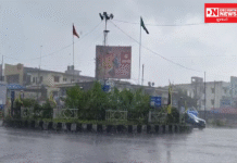 નવસારીમાં વહેલી સવારે કમોસમી વરસાદ..ઊભા પાકને નુકસાન થવાની ભીતિથી ખેડૂતોની ચિંતા વધી..