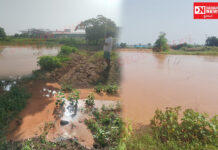 ઝઘડિયા તાલુકામાં આવેલ અસંખ્ય સિલિકા પ્લાન્ટથી આસપાસના ખેડૂતોને વારંવાર થતા નુકસાનનો જવાબદાર કોણ….???