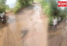 ડેડીયાપાડાના મોટા જાંબુડા-ગારદા માર્ગ પર ખાડાઓનું કહેર, વાહનચાલકો જીવનના જોખમે કરે છે મુસાફરી..