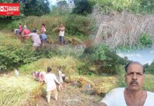 કમોસમી વરસાદથી ધરમપુર તાલુકામાં ડાંગરના પાકમાં ભારે નુકશાન.. કરંજવેરી ગામના ખેડૂત શું કહે છે..!