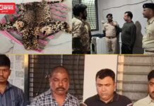 વાંસદાના રાણી ફળિયામાં વન વિભાગે રેડ કરી દિપડાનું ચામડું વેચવા અને ખરીદવા આવેલા 4 ને રંગેહાથ ઝડપયા