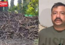 ખેરની તસ્કરી મામલે વાંસદાના RFO જે.ડી. રાઠોડ અને ચીખલીના મહિલા ફોરેસ્ટર હેતલ પટેલને કરાયા સસ્પેન્ડ, ઉચ્ચ અધિકારીઓની પણ સંડોવણીની ચર્ચા