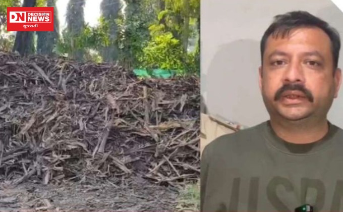 WhatsApp Image 2025-11-29 at 11.30.21 PM