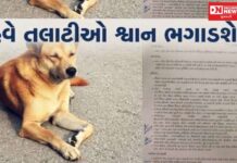 તલાટીઓ હવે ગ્રામપંચાયતના કામો નહિ.. રખડતાં કૂતરા ભગાડવાની સોંપાશે જવાબદારી..!