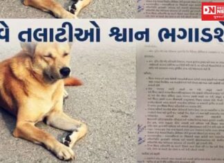 તલાટીઓ હવે ગ્રામપંચાયતના કામો નહિ.. રખડતાં કૂતરા ભગાડવાની સોંપાશે જવાબદારી..!