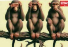 ગાંધીજીના ત્રણ વાંદરાઓનો ભૂતકાળમાં.. અને વર્તમાનનો માર્મિક અર્થ..