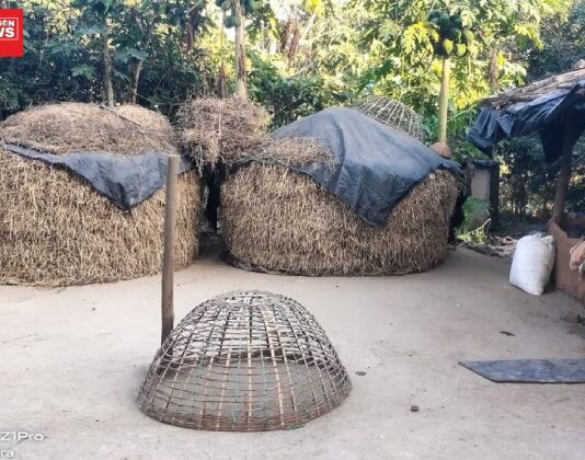 આગણાંમાં ધાનના ઢગલા એ જ મહેનતનું ફળ છે જે આખું વર્ષ આદિવાસી ખેડૂતના પરસેવાથી સિંચાયેલું છે..