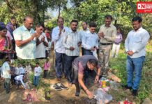 ધરમપુરના કરંજવેરી પીર ફળિયામાં 2-બોક્સ સ્ટ્રક્ચરવાળા માઇનોર બ્રિજનું ધારાસભ્યના ખાતમુહૂર્ત