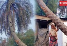 દાદરા નગર હવેલી – જ્યાં માટી હજુ પણ જીવંત છે !