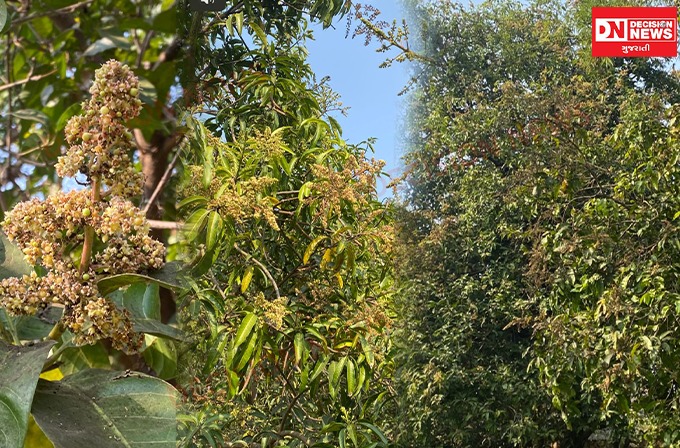 WhatsApp Image 2026-01-18 at 3.24.31 PM