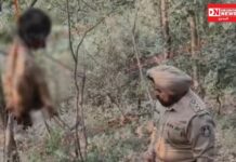 પારનેરા ડુંગર પર ગળેફાંસો ખાધેલી ડીકમ્પોઝ હાલતમાં અજાણ્યા શખસની મળી અડધી લાશ મળી..