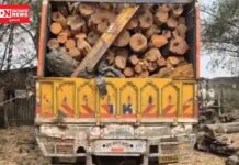 ચીખલીમાં 18 ટન ગેરકાયદેસર ખેરના લાકડા જપ્ત; ગોડથલ ગામેથી લાકડા તસ્કર અર્જુન નિછાભાઈ પટેલની ધરપકડ કરાઈ..