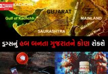 2020 થી 2025 સુધીના 6 વર્ષમાં ડ્રગ્સનું હબ બનતાં જતાં ગુજરાતને આપણે બચાવી શકીશું ખરા ?