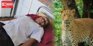 ખેતીકામ કરી રહેલા ચીખલીના ખાંભડા ગામના એક ખેડૂત પર દીપડાએ કર્યો હુમલો.. ગ્રામજનો શું કહે છે