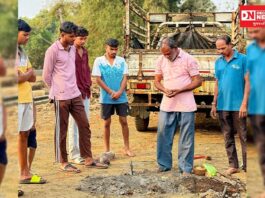 દક્ષિણ ગુજરાત: હોળી અહીં માત્ર એક ઉત્સવ નથી તે પૂર્વજોની યાદ, દેવતાઓની આરાધના અને ગામની સમૂહિક ઓળખનું જીવંત પ્રતિક છે.