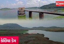 વાંસદાના કેલિયા ડેમનો ઈતિહાસ, બાંધકામનો હેતુ, ડેમ સ્ટોરેજ, ટેકનીકલ વિગતો અને તેની ગામડાઓમાં અસર.. જાણો