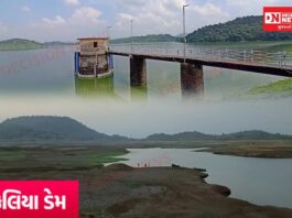 વાંસદાના કેલિયા ડેમનો ઈતિહાસ, બાંધકામનો હેતુ, ડેમ સ્ટોરેજ, ટેકનીકલ વિગતો અને તેની ગામડાઓમાં અસર.. જાણો