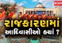 આદિવાસી સમાજમાં વધતી વ્યક્તિગત અને મુદ્દાઓ પરથી ભટકતી રાજનીતિ સમાજ માટે ખતરાની ઘંટી..