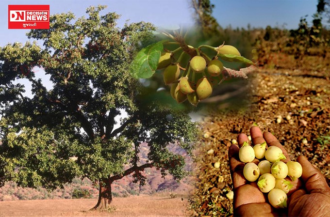 WhatsApp Image 2026-03-17 at 7.25.41 AM