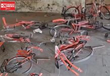 નસવાડીમાં સરકારી લાખો રૂપિયાના સાયકલો બની ગયા ભંગાર સામે આવ્યા દ્રશ્યો.. સ્થાનિકોમાં રોષ