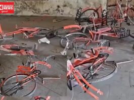 નસવાડીમાં સરકારી લાખો રૂપિયાના સાયકલો બની ગયા ભંગાર સામે આવ્યા દ્રશ્યો.. સ્થાનિકોમાં રોષ