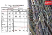 દક્ષિણ ગુજરાતની સુગર મિલોની જાહેરાતથી ખેડૂતોમાં ફરી અસંતોષ: ટન દીઠ 3500 થી 3800 જ વચ્ચે ભાવ, 4000ની આશા પર પાણી..