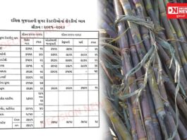 દક્ષિણ ગુજરાતની સુગર મિલોની જાહેરાતથી ખેડૂતોમાં ફરી અસંતોષ: ટન દીઠ 3500 થી 3800 જ વચ્ચે ભાવ, 4000ની આશા પર પાણી..