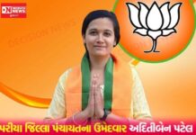 પારડીમાં પરિયા જિલ્લા પંચાયત સીટ પર ભાજપની ઉમેદવાર અદિતિ અંકિત પટેલની પસંદગી, લોકોમાં ઉત્સાહનો માહોલ