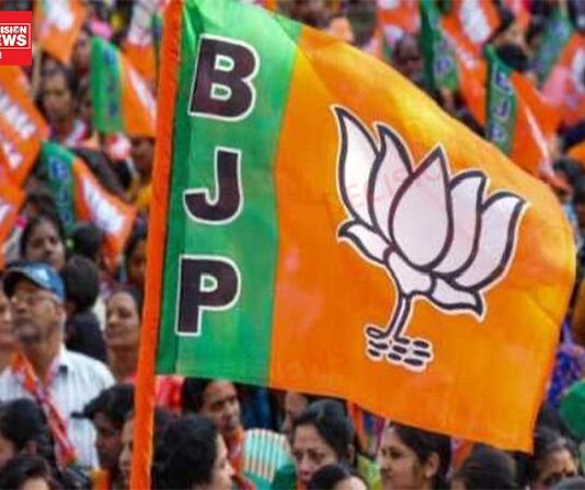 દક્ષિણ ગુજરાતમાં ભગવો લહેરાયો. ન કોંગ્રેસ કે ન આપ ગામડાથી લઇને શહેરો સુધીમાં બસ ભાજપ ભાજપ