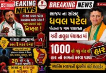 અનંત પટેલ ઉનાઈ તો ધવલ પટેલ ઝરી બેઠક હારી ગયા..બોલો: મતદારોનો પૂર્ણ વિશ્વાસ કોના પર છે કહેવું મુશ્કેલ ? શું છે લોકચર્ચા