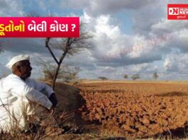 NCRB રીપોર્ટ: આપણા કૃષિપ્રધાન દેશ ભારતમાં દરરોજ 28 ખેડૂત-ખેતમજૂરોના આત્મહત્યા કરે છે..!