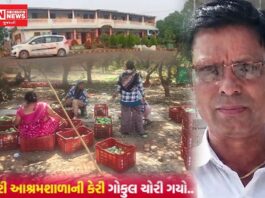 ખેરગામ ગૌરી આશ્રમશાળાની કેરી ‘ગોકુલ પટેલ’ ચોરી ગયો: નિવૃત્ત આચાર્ય અને તેમની પત્ની સામે ટ્રસ્ટની ફરિયાદ