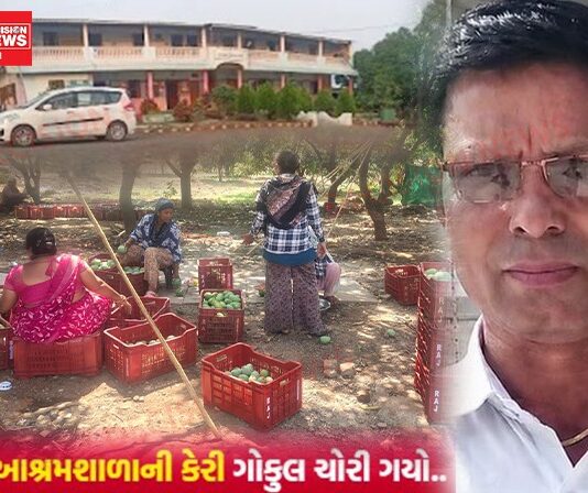ખેરગામ ગૌરી આશ્રમશાળાની કેરી ‘ગોકુલ પટેલ’ ચોરી ગયો: નિવૃત્ત આચાર્ય અને તેમની પત્ની સામે ટ્રસ્ટની ફરિયાદ