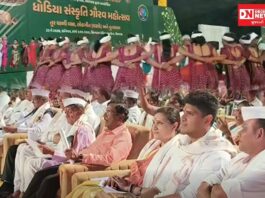 ધોડિયા સંસ્કૃતિ ગૌરવ મહોત્સવનું સાંસદ કલાબેન ડેલકરની ઉપસ્થિતિમાં ભવ્ય આયોજન, સેલવાસા સ્ટેડિયમમાં છવાયા તુર થાળીના વાદ્ય