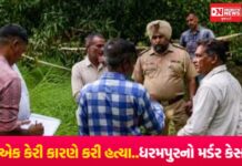 એક કેરી..મળ્યું મોત: ધરમપુરના વાંકલ ગામમાં કેરી તોડવા જેવી નજીવી બાબતે કરાઈ મહિલાની હત્યા